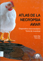 Imagen de cubierta local