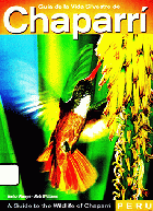 Imagen de cubierta local